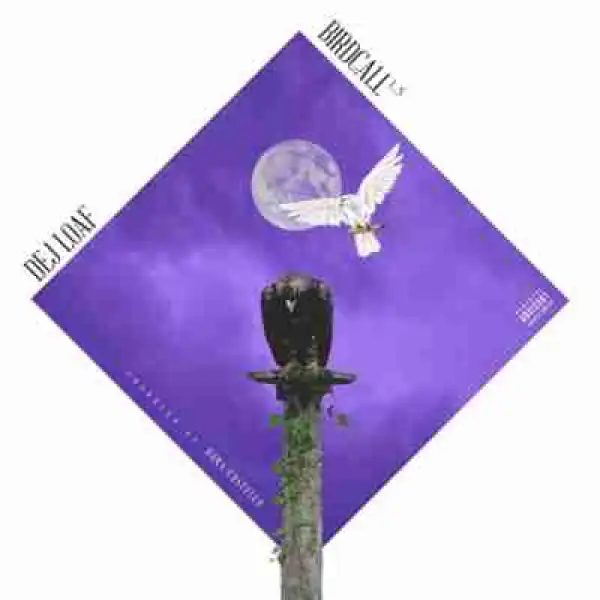 DeJ Loaf - Birdcall 1.5